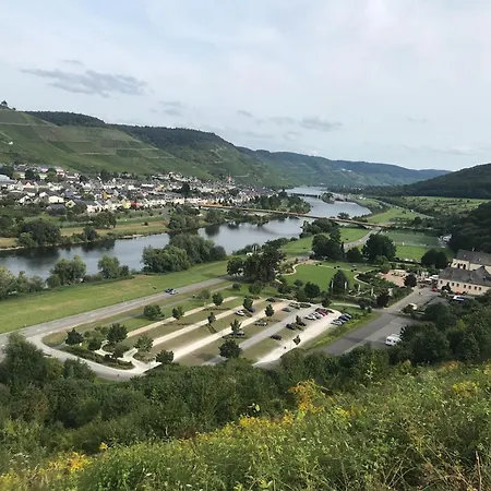 Forneck Zeltingen-Rachtig