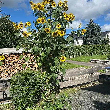 Forneck Appartamento Zeltingen-Rachtig