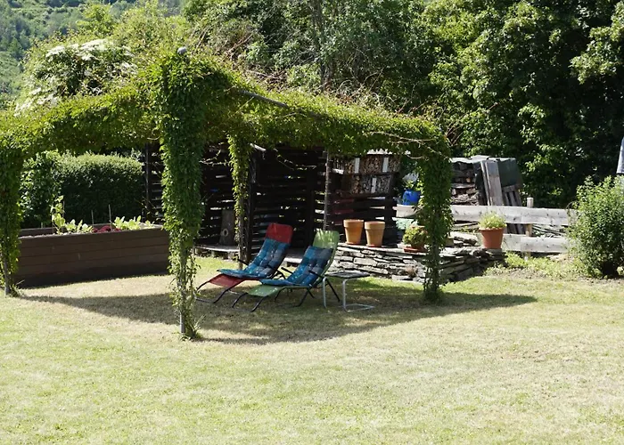 Forneck زلتنغن راختخ