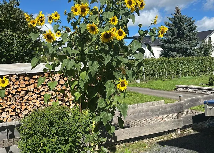 Forneck Lejlighed Zeltingen-Rachtig